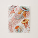 Puzzle Marisco, Discomedusae de Ernst Haeckel<br><div class="desc">Jellyfish,  Discomedusae Scheibenquallen por Ernst Haeckel Jigsaw Puzzle.</div>