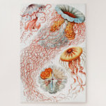 Puzzle Marisco, Discomedusae de Ernst Haeckel<br><div class="desc">Jellyfish,  Discomedusae Scheibenquallen por Ernst Haeckel Jigsaw Puzzle.</div>