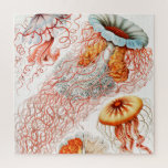 Puzzle Marisco, Discomedusae de Ernst Haeckel<br><div class="desc">Jellyfish,  Discomedusae Scheibenquallen por Ernst Haeckel Jigsaw Puzzle.</div>