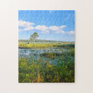 Puzzle Marisma en Massabesic