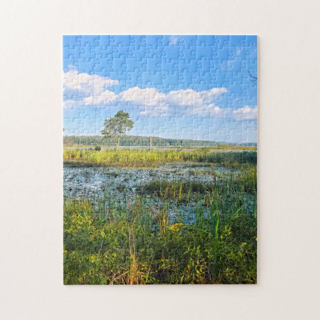 Puzzle Marisma en Massabesic (Vertical)