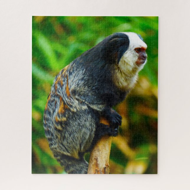 Puzzle Marmoset con Cabecera Blanca. (Vertical)