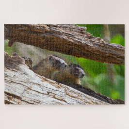Puzzle Marmot Brothers