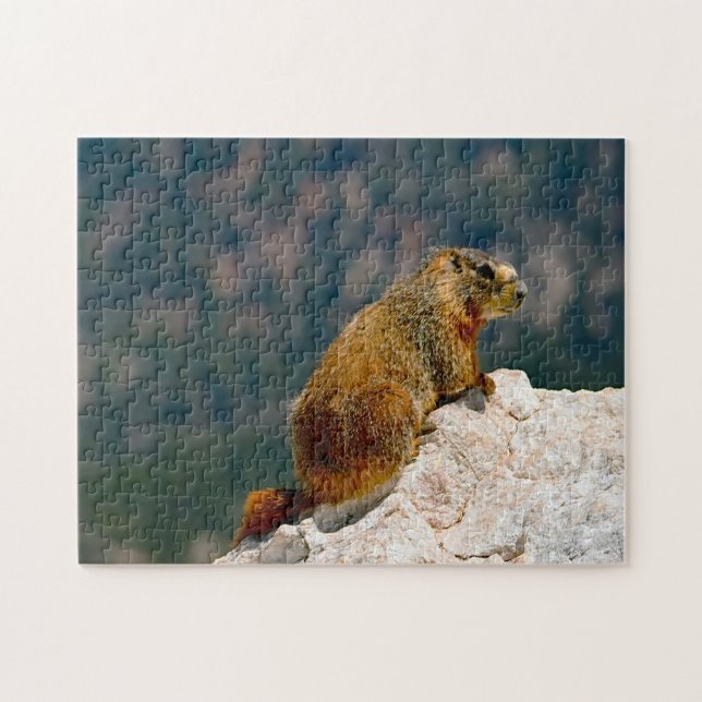 Puzzle Marmot Utah con el amarillo vientre. (Horizontal)
