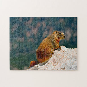 Puzzle Marmota de vientre amarillo Utah.