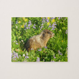 Puzzle Marmota en flores silvestres del Monte Rainier