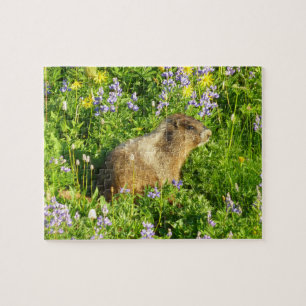 Puzzle Marmota en flores silvestres del Monte Rainier