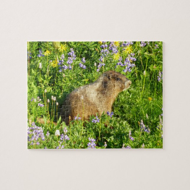 Puzzle Marmota en flores silvestres del Monte Rainier (Horizontal)