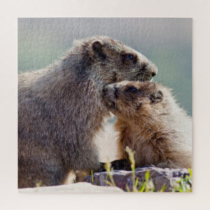 Puzzle Marmota Madre con Bebé