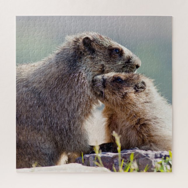 Puzzle Marmota Madre con Bebé (Vertical)