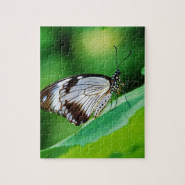 Puzzle Marrón oscuro y mariposa gris