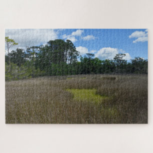 Puzzle marshland Florida