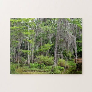 Puzzle Marshland Florida, Estados Unidos