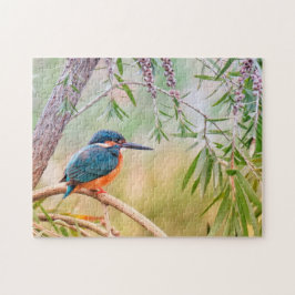Puzzle Martín pescador natural aves vida silvestre animal