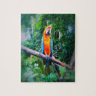Puzzle Martinica Macaw