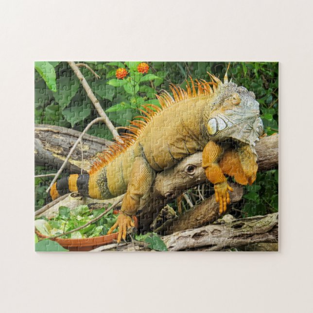 Puzzle Mascota de Iguana (Horizontal)