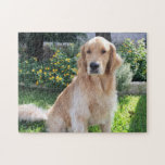 Puzzle Mascota de las flores de foto de perro adorno de G<br><div class="desc">Hermoso rompecabezas de perro recuperador de oro con un hermoso cachorro delante de flores amarillas bonitos y hierba verde. Un lindo rompecabezas mascota para un amante de los cachorros.</div>
