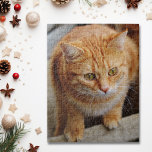 Puzzle Mascota Dog Cat Photo Template Fun Personalizado p<br><div class="desc">Este diseño fue creado a través del arte digital. Se puede personalizar haciendo clic en el botón personalizar y cambiando el color, agregando un nombre, iniciales o tus palabras favoritas. Contáctame en colorflowcreations@gmail.com si quieres tener este diseño en otro producto. Compra mi pintura de acrílico abstracta original a la venta...</div>