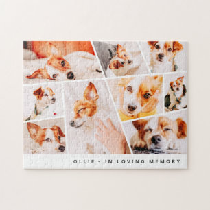Puzzle Mascota Memorial Moderno Moda Simple 9 Fotos Colla