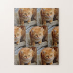 Puzzle Mascota Perro Gato Fun Fun Personalizado Personali<br><div class="desc">Este diseño fue creado a través del arte digital. Se puede personalizar haciendo clic en el botón personalizar y cambiando el color, agregando un nombre, iniciales o tus palabras favoritas. Contáctame en colorflowcreations@gmail.com si quieres tener este diseño en otro producto. Compra mi pintura de acrílico abstracta original a la venta...</div>