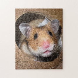 Puzzle Mascota sirio Hamster - Hamster estándar - Oso de 