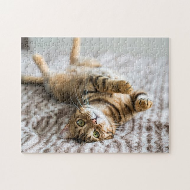 Puzzle Mascotas Adorables de 11" x 14" (Horizontal)