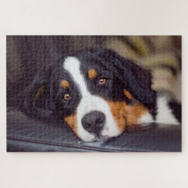 Puzzle Mascotas difíciles de 20" x 30"
