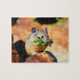 Puzzle Masticar Pika En Plantas