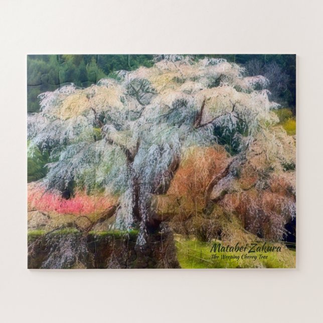 Puzzle Matabei-Zakura: Llorando cerezo (Horizontal)