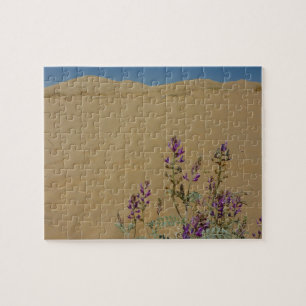 Puzzle Mato de Índigo de Mojave y Dunas de Kelso
