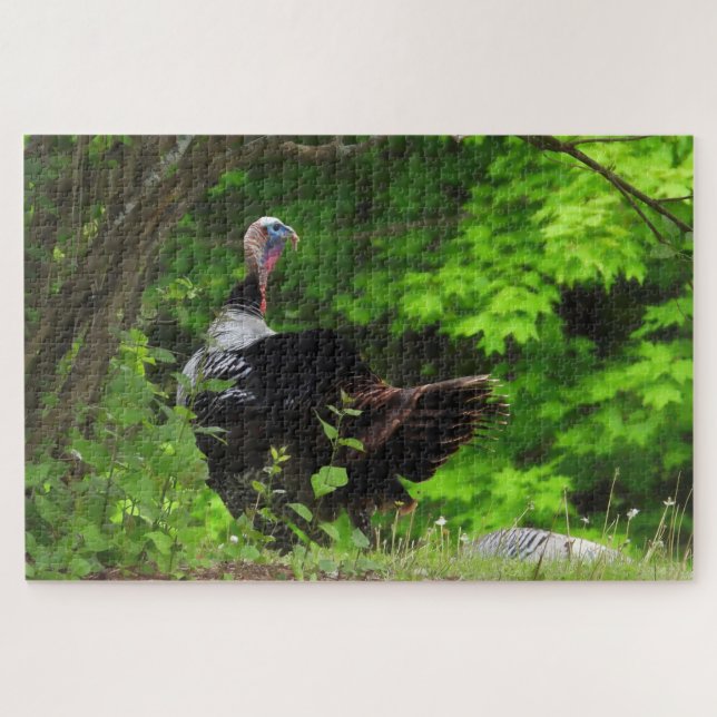 Puzzle Mature Male Wile Turkey (Horizontal)