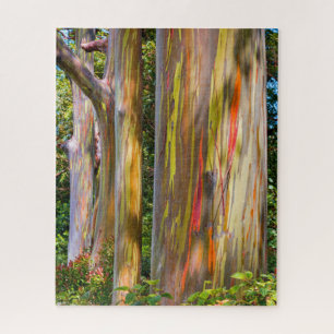 Puzzle Maui Eucalyptus