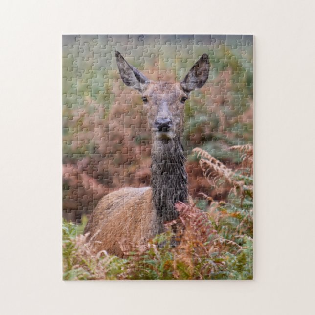 Puzzle ¿Me estás hablando? - 11x14 - 252 piezas (Vertical)