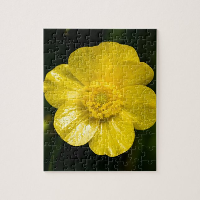 Puzzle Meadow Buttercup  (Vertical)