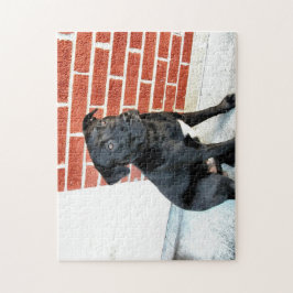 Puzzle Medianoche posa