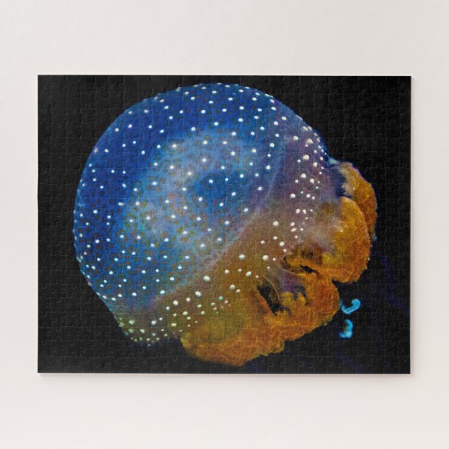 Puzzle Medusa (Horizontal)