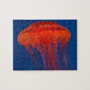 Puzzle Medusas