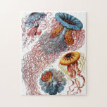 Puzzle Medusas adornadas del vintage<br><div class="desc">Rompecabezas hermoso con el ilustracion del vintage de Ernst Haeckel de la diversa especie de las medusas.</div>