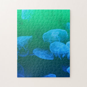Puzzle Medusas transparentes