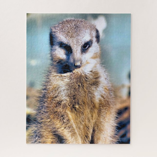 PUZZLE MEERKAT (Vertical)
