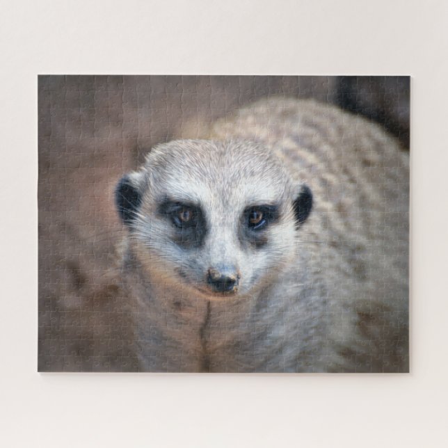 Puzzle Meerkat (Horizontal)