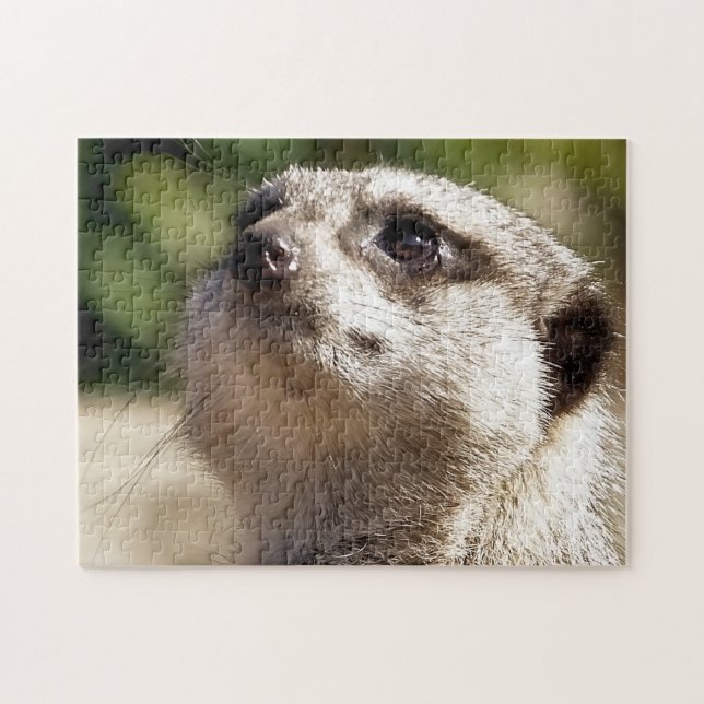 PUZZLE MEERKAT (Horizontal)