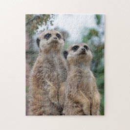 Puzzle Meerkat 013