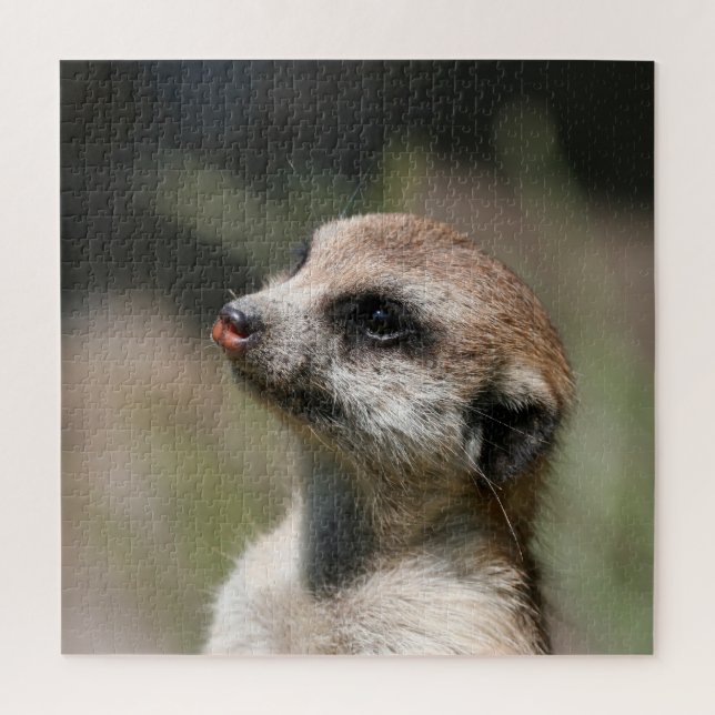 Puzzle Meerkat 014 (Vertical)