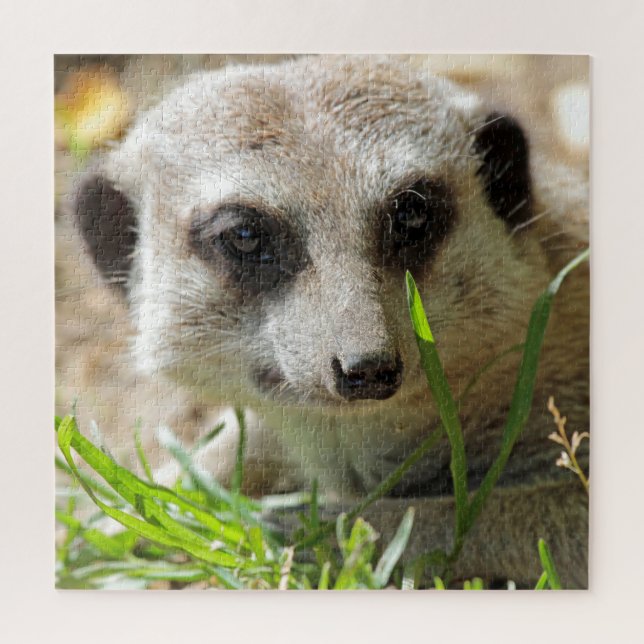 Puzzle Meerkat 026 (Vertical)