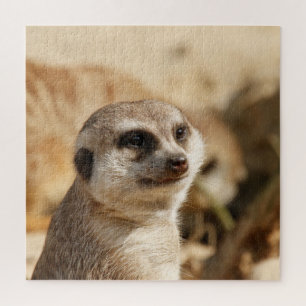 Puzzle Meerkat 052