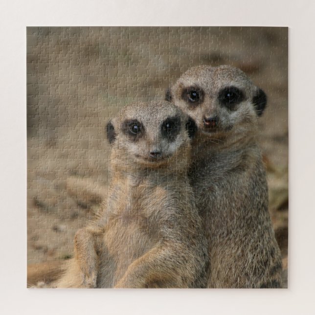 Puzzle Meerkat 067 (Vertical)