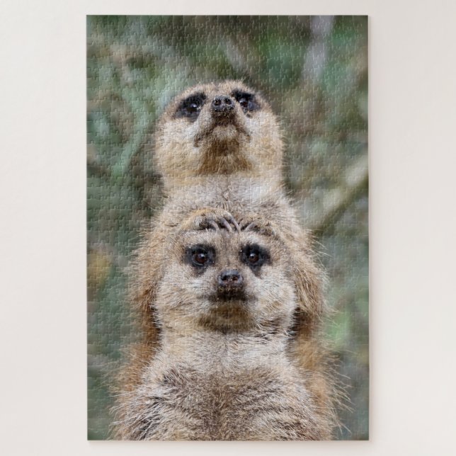 Puzzle Meerkat 081 (Vertical)