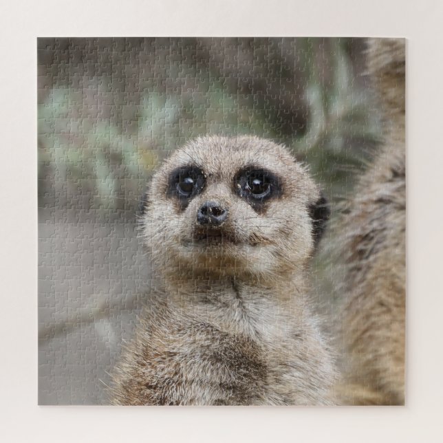 Puzzle Meerkat 082 (Vertical)