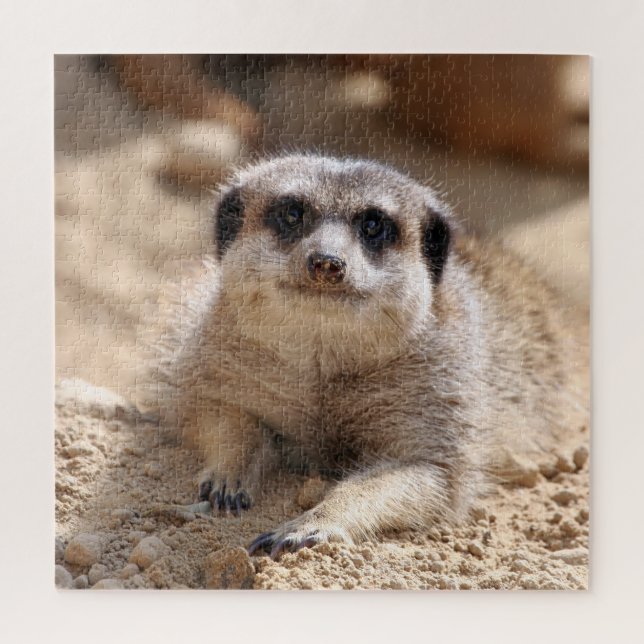 Puzzle Meerkat 174 (Vertical)